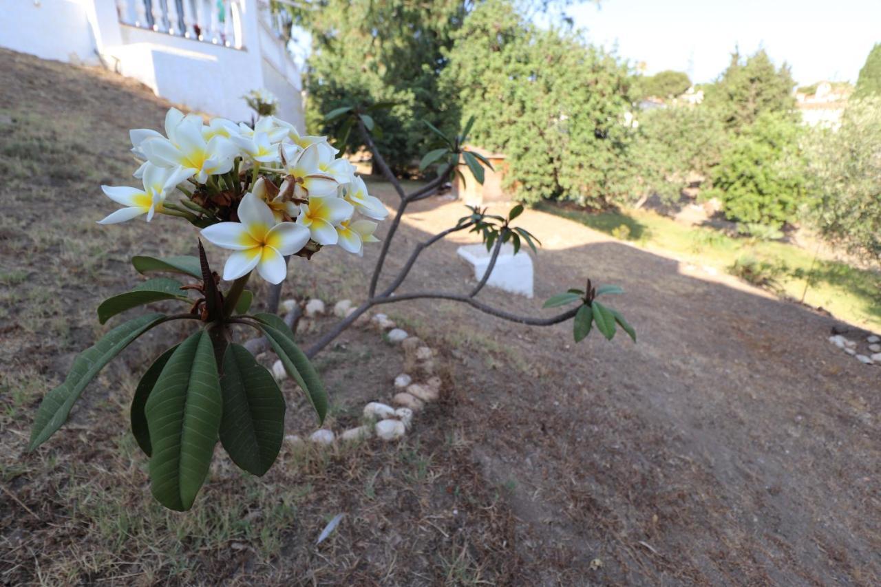 Casa Home Golf Playa El Faro المظهر الخارجي الصورة